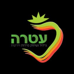 עטרה