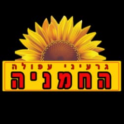 גרעינים